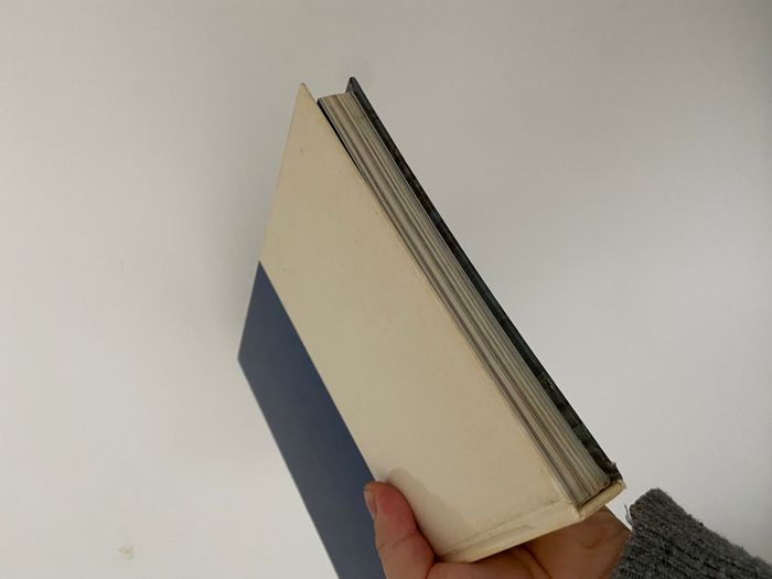 livre disney le monde enchanté pays des merveilles - photo numéro 5