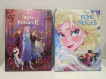 Livre reine des neiges