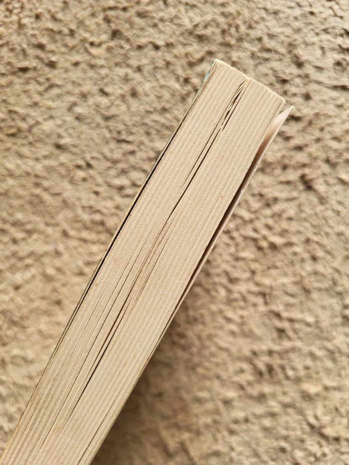 Roman jeunesse Si on jetait l’ancre ! de Simon French - photo numéro 3