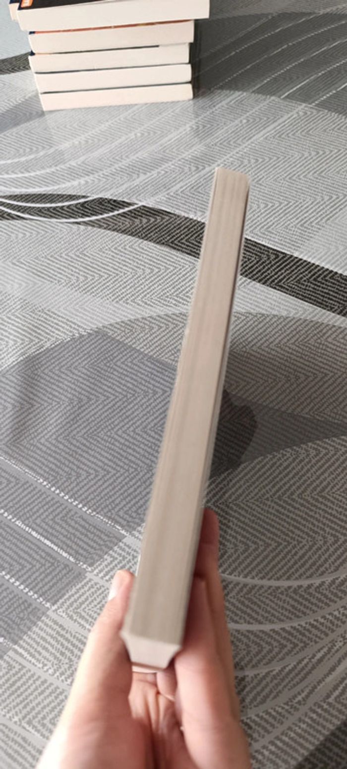 Livre chair de poule - photo numéro 4