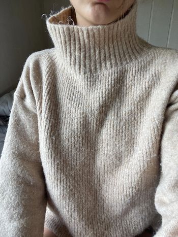 Pull à col roulé Gemo