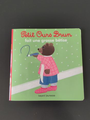 Petit Ours Brun fait une grosse bétise