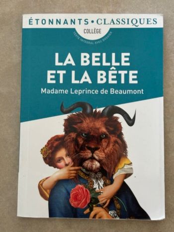 Livre étonnants classiques la belle et la bête