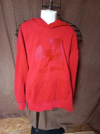 Pull a capuche taille 14ans/170cm