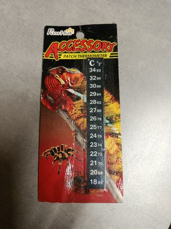 Thermomètre vivarium 