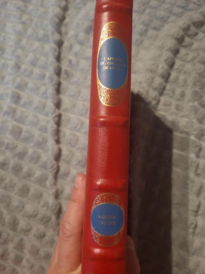 L'affaire du courrier de lyon. Livre premier
