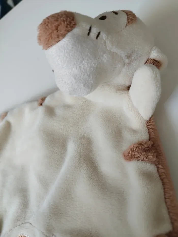 Tigrou beige - photo numéro 4