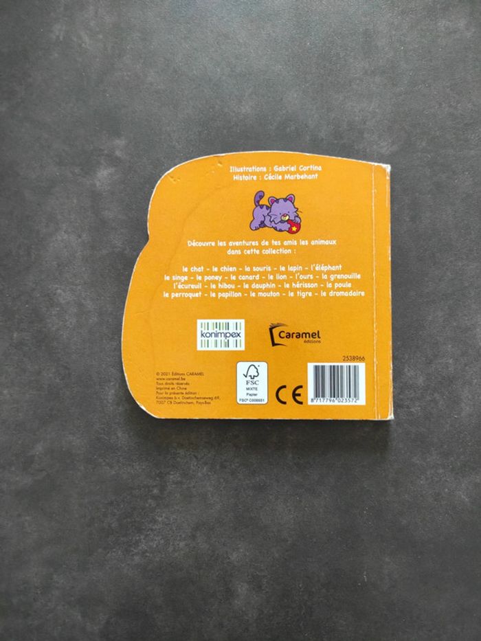 Petite histoire Misti le chat - photo numéro 3