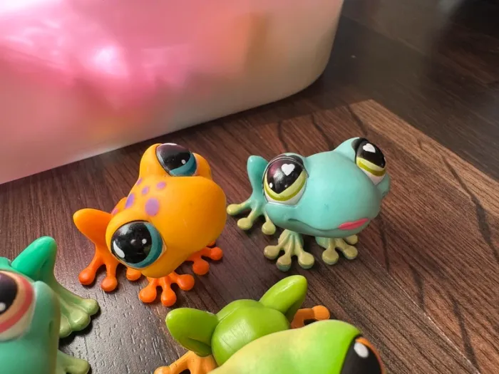 Petshop grenouilles - photo numéro 3