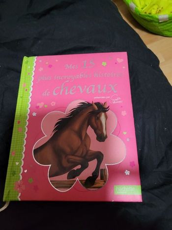 Mes 15 plus incroyables histoires de chevaux