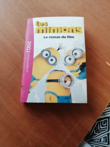 Livre les minions