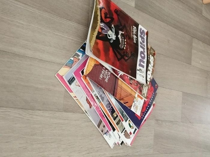 Lot de 12 magazines SPIROU année 2010-11 L006  7578877699 - photo numéro 4