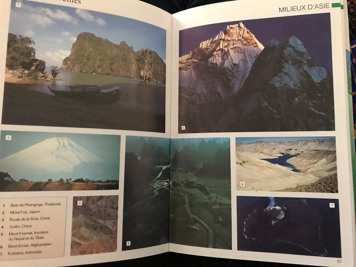 🎄 Méga nature - 9/13 ans 🎄 - photo numéro 3