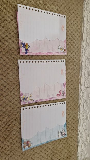 Lots de 6 feuilles diddl is back carnet