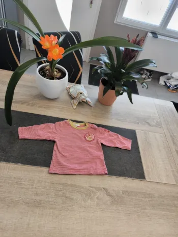 Tee-shirt garçon ml 6 mois Confetti