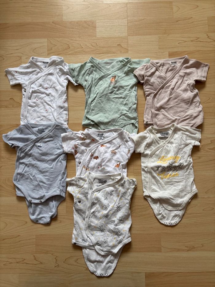 Lot 7 bodies