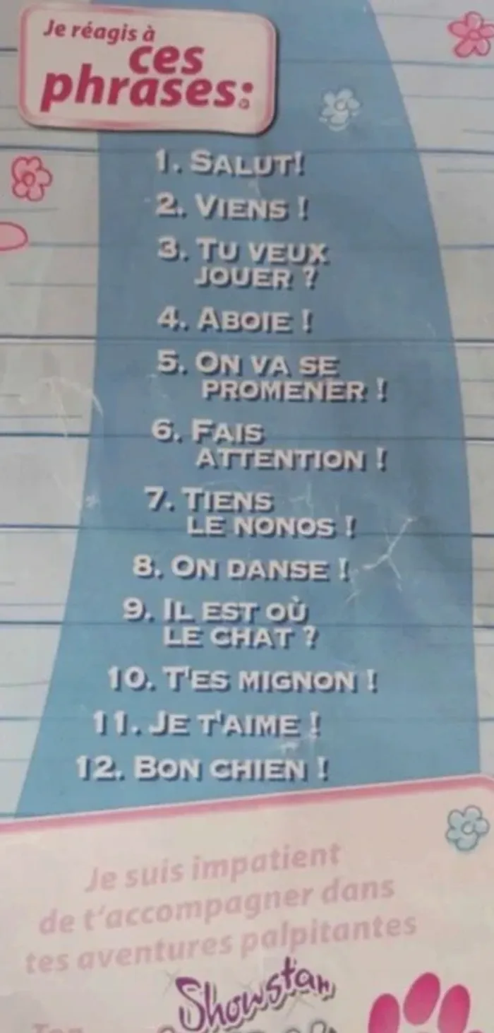 Chien Chi chi love - photo numéro 4