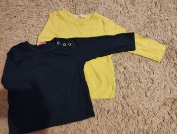 Lot 2 T-shirt manches longues Du pareil Au même