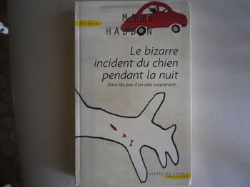 LE BIZARRE INCIDENT DU CHIEN PENDANT LA NUIT