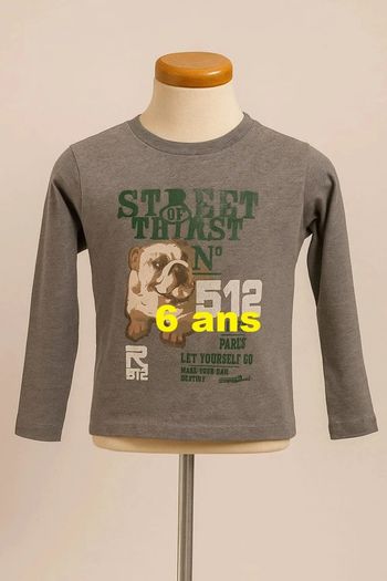 Tee shirt manche longue gris motif multicolore RG 512 Taille 6 ans