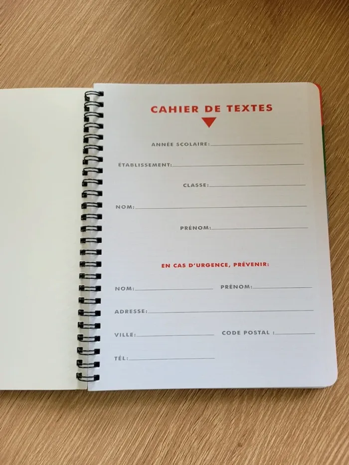 Cahier de texte bluey neuf maternelle primaire - photo numéro 2