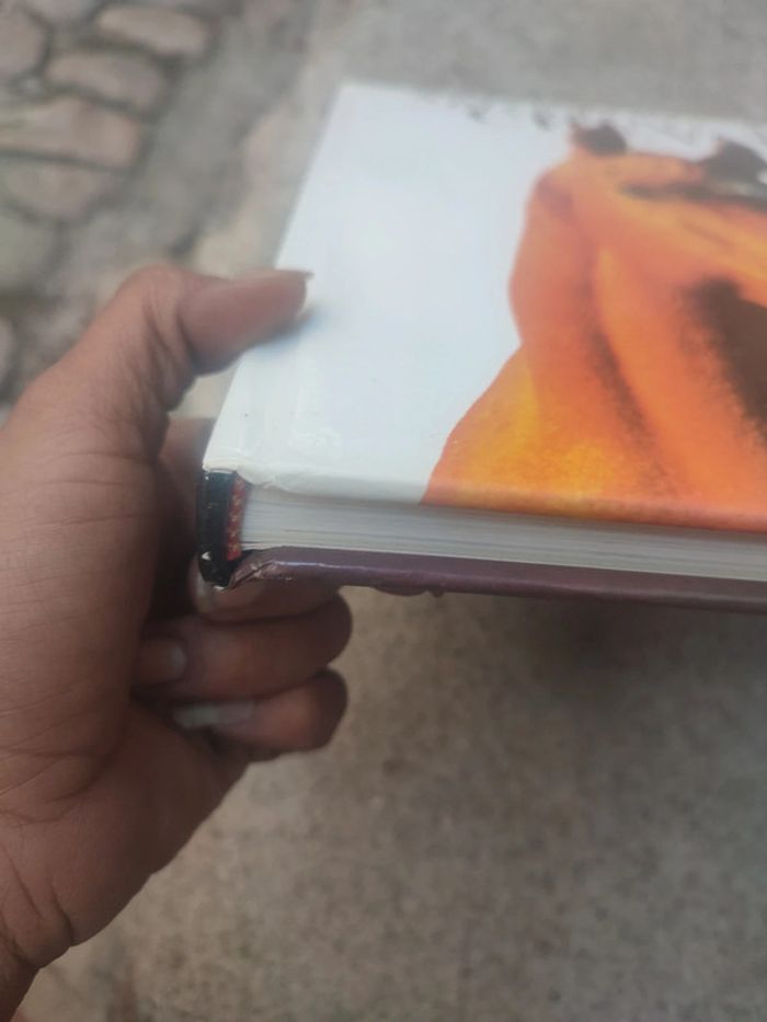 Livre la splendeurs du cheval - photo numéro 2