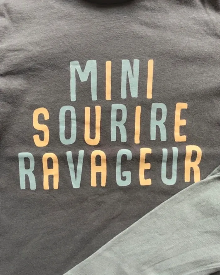 Lot tee shirts manches longues, 12 mois - photo numéro 2
