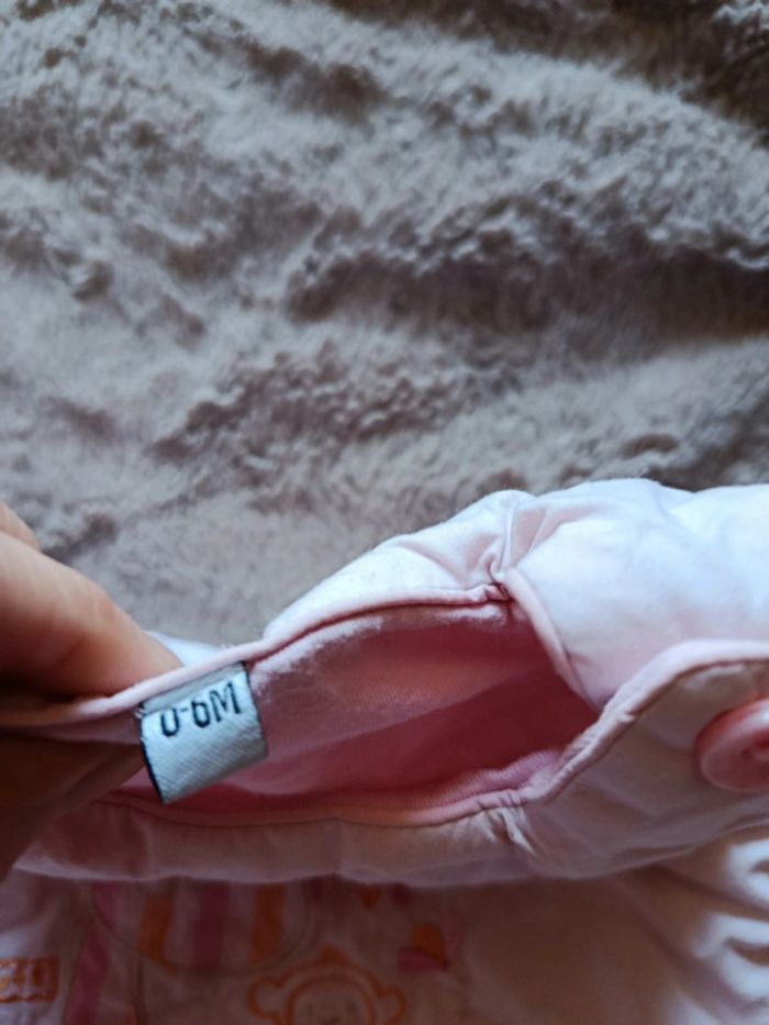 Gigoteuse évolutive - photo numéro 3