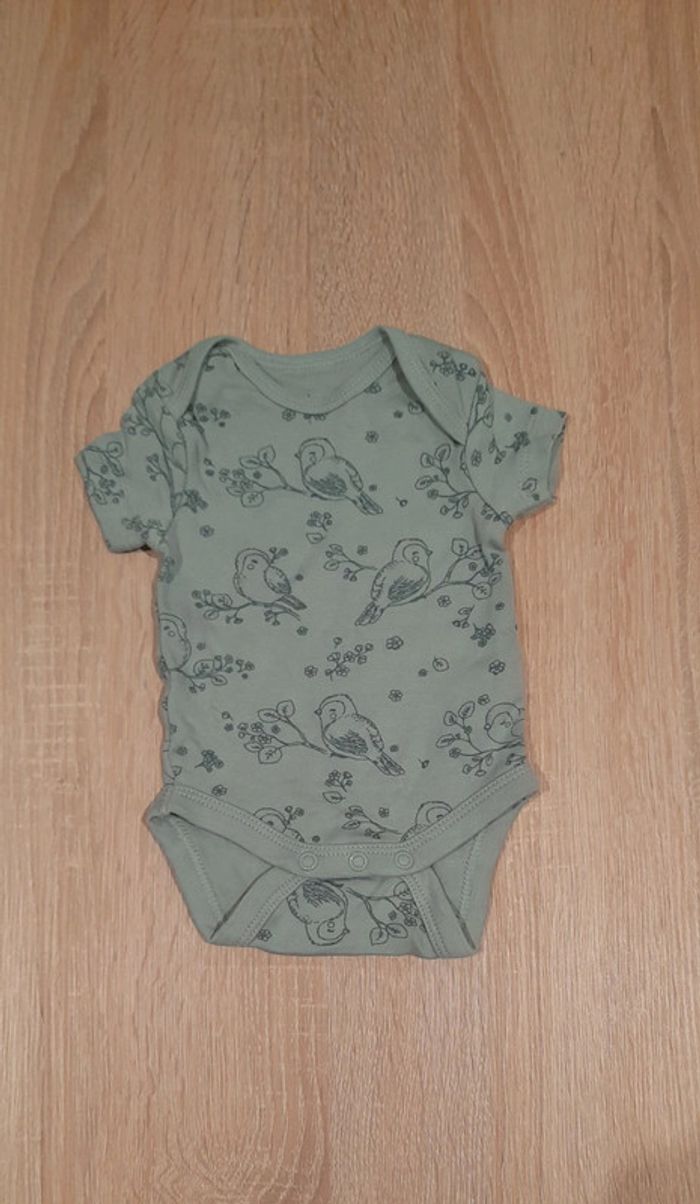 Body oiseau