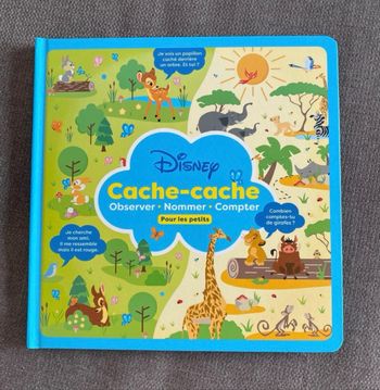 Disney cache cache pour les petits