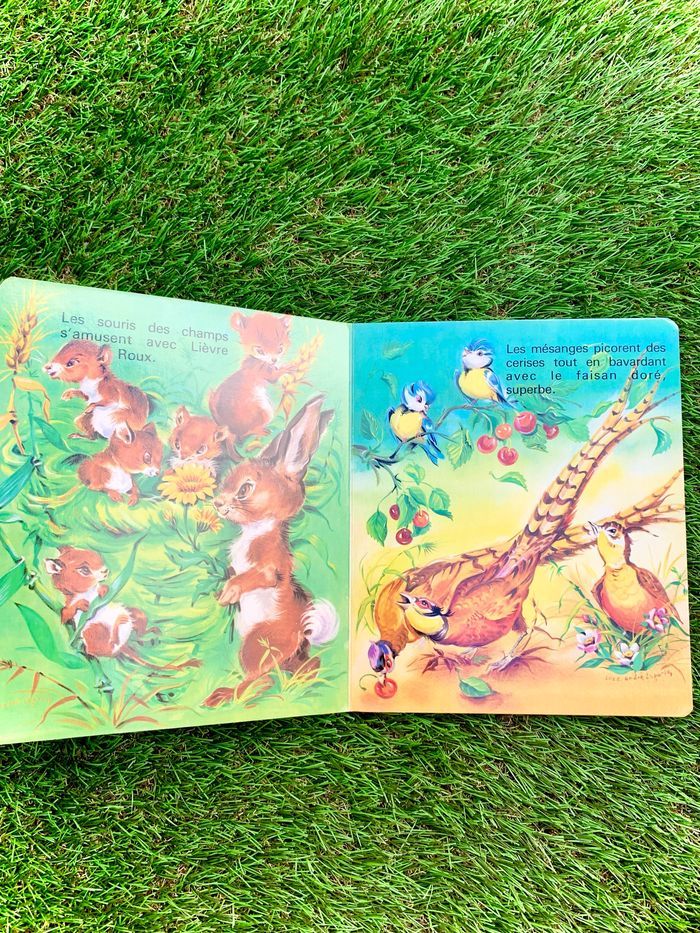 Livre pour bébé : un jour dans les champs - photo numéro 3