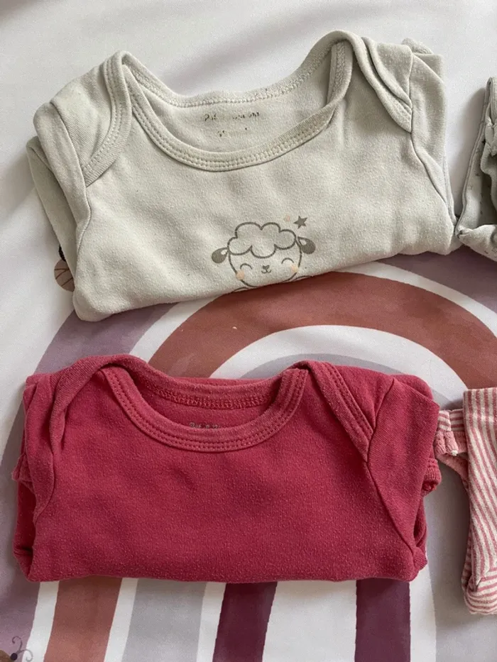 Lot de 5 bodys manches longues – Pat et Ripaton – Taille 12 mois - photo numéro 3