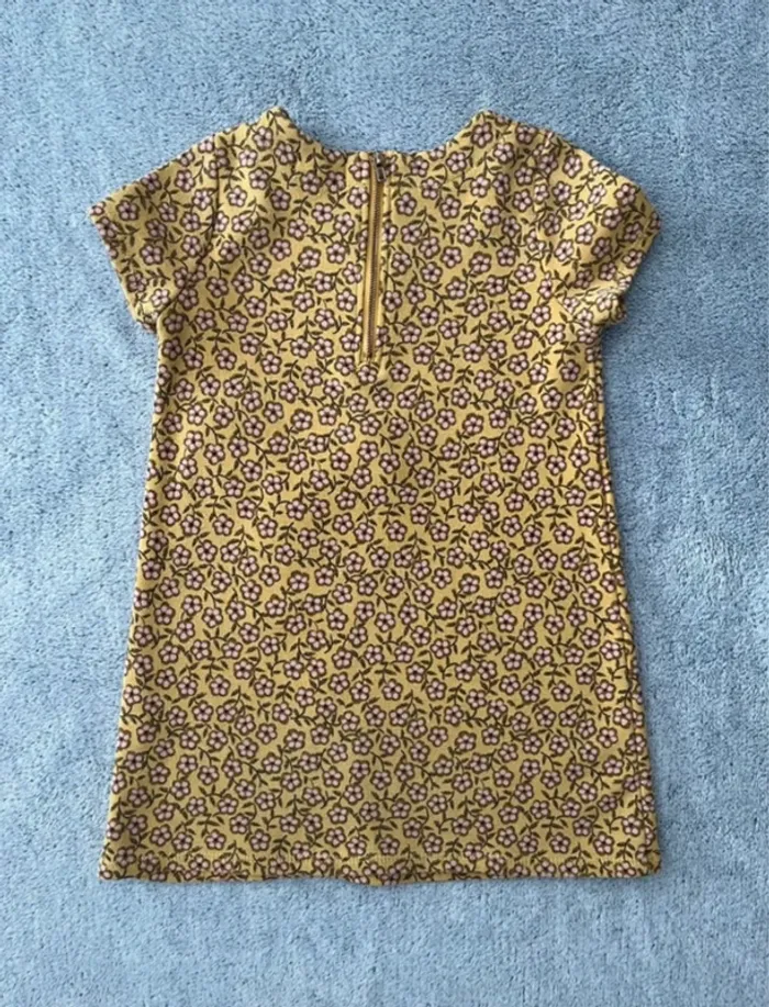 Robe, 5 ans - photo numéro 4
