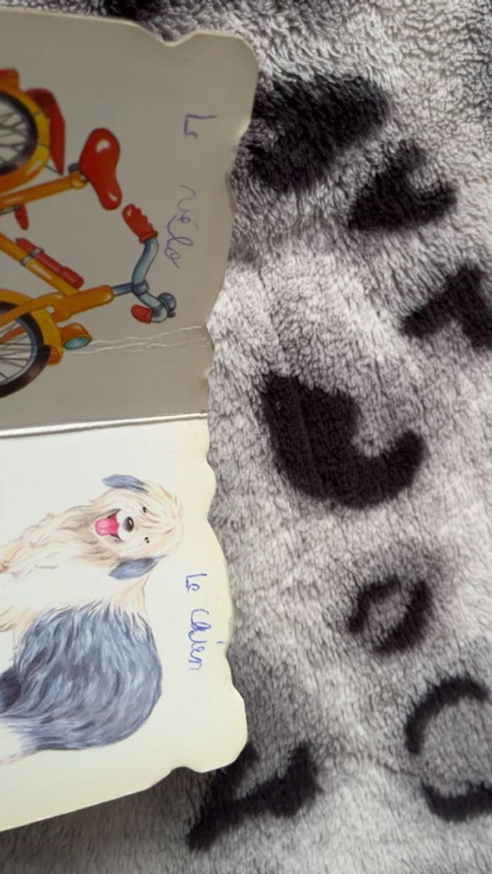 Dans la jardin il y a - photo numéro 7