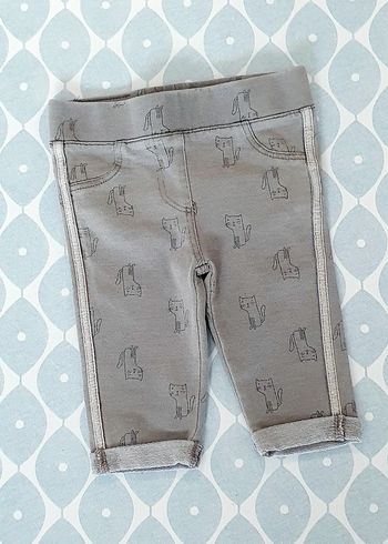 Jegging Orchestra - 3M