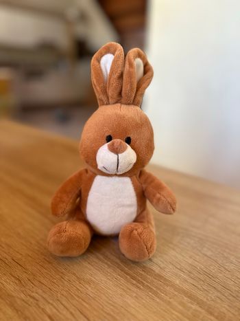 Petit doudou lapin marron – Très bon état