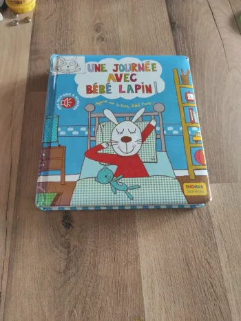 Livre : une journée avec bébé lapin
