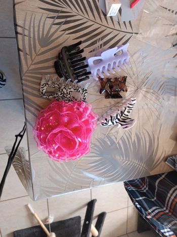 Lot de 6 pinces à cheveux