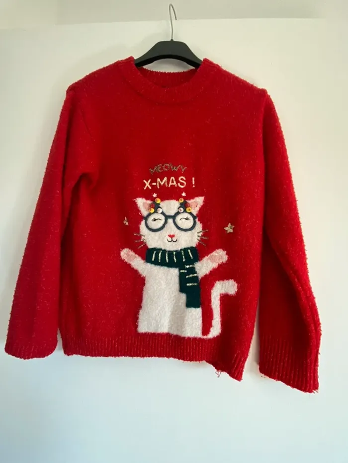 Pull de noël