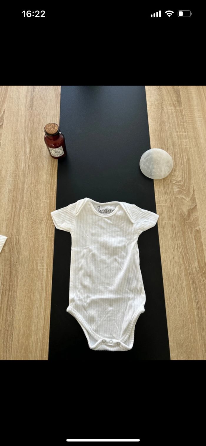 Lot de 4 bodies manche courte - photo numéro 3