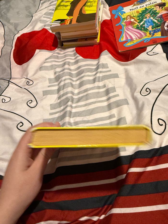 Les vacances d’Isabelle- Véronique Day - photo numéro 4