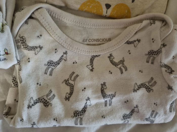 Lot naissance - photo numéro 2