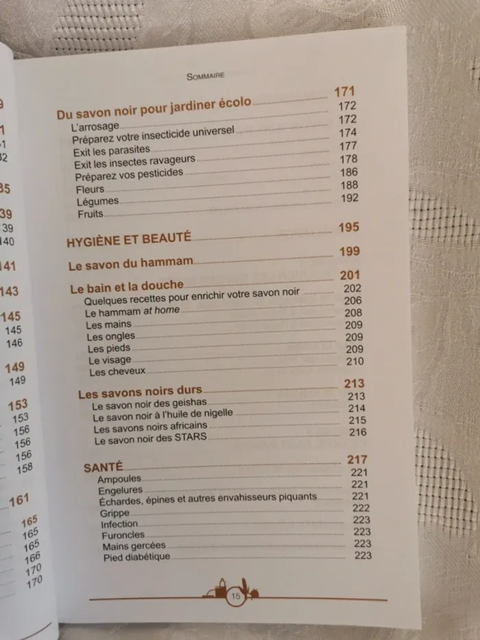 Livre. Salon Noir à tout faire – 1200 astuces naturelles - photo numéro 6