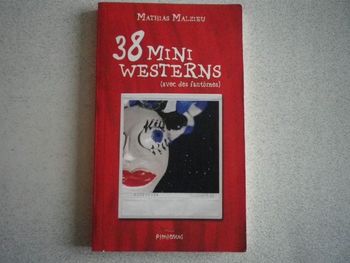 38 MINI WERTERNS
