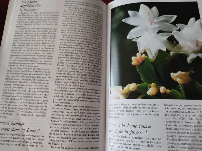 Livre botanique "La maison fleurie" - édition Solar - photo numéro 5
