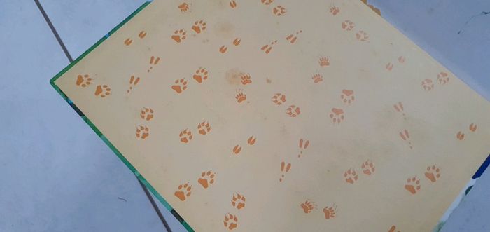 Livre Bébés animaux en balade lya2 - photo numéro 5