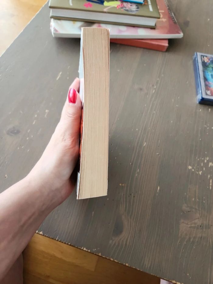 Livre L'iliade Homère - Folio - photo numéro 4