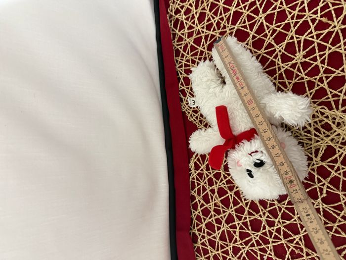 DOUDOU PELUCHE EDITIONS AUZOU OURS BLANC ECHARPE ROUGE 20cm - photo numéro 3