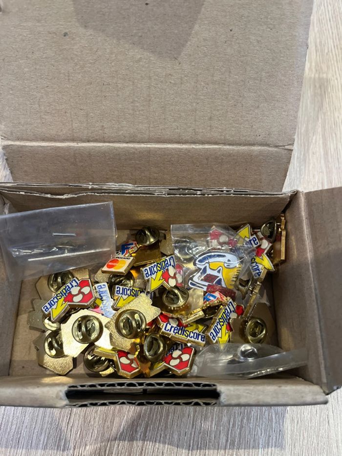Énorme lot de pins pour collectionneur en parfait état