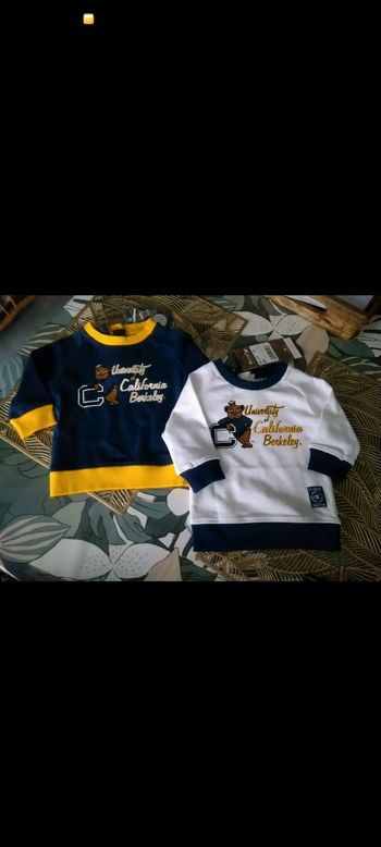 Deux hauts  champion